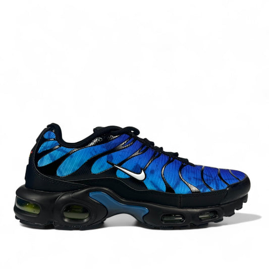 Маратонки Air Max Plus 25th Anniversary