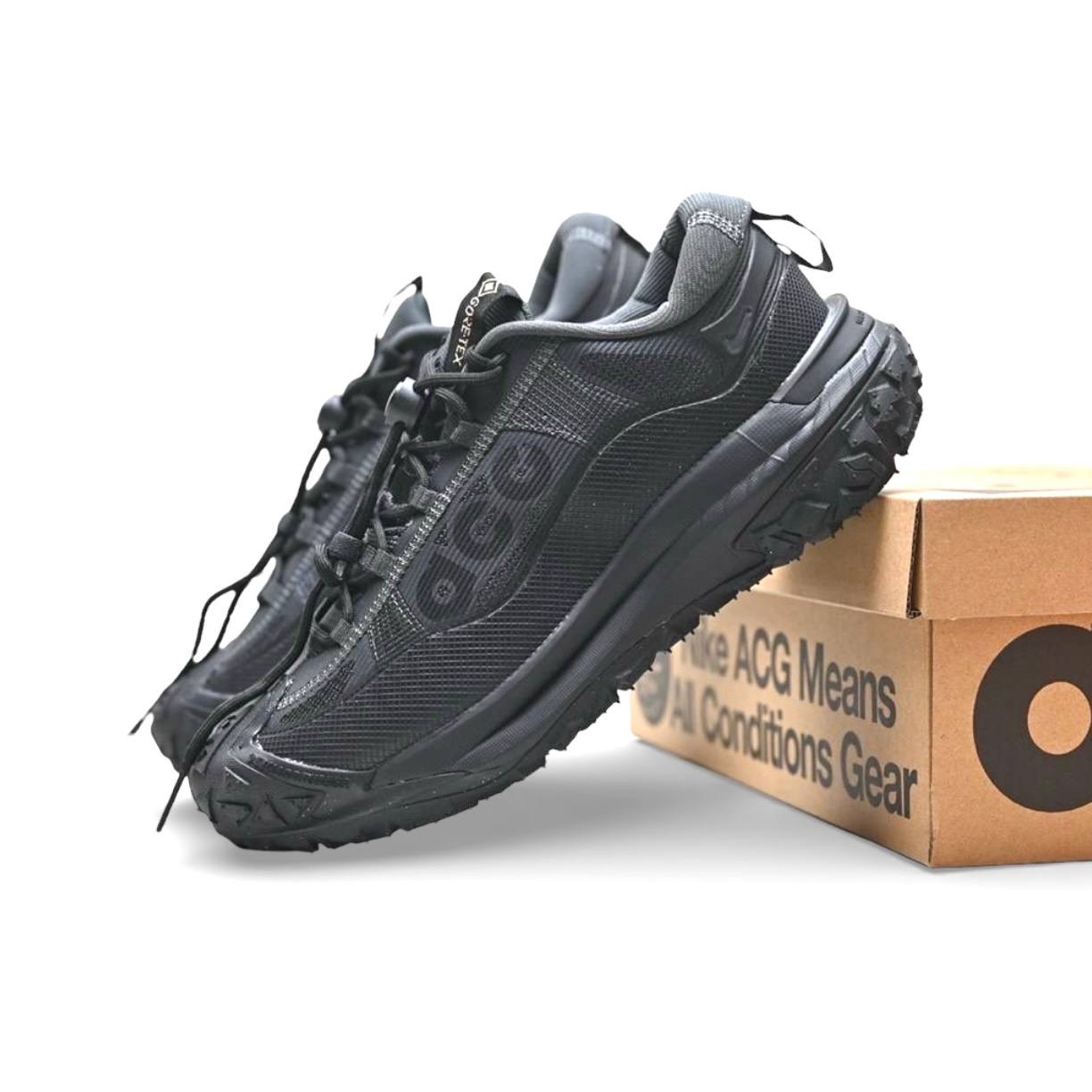 Маратонки ACG Mountain Fly 2 Low